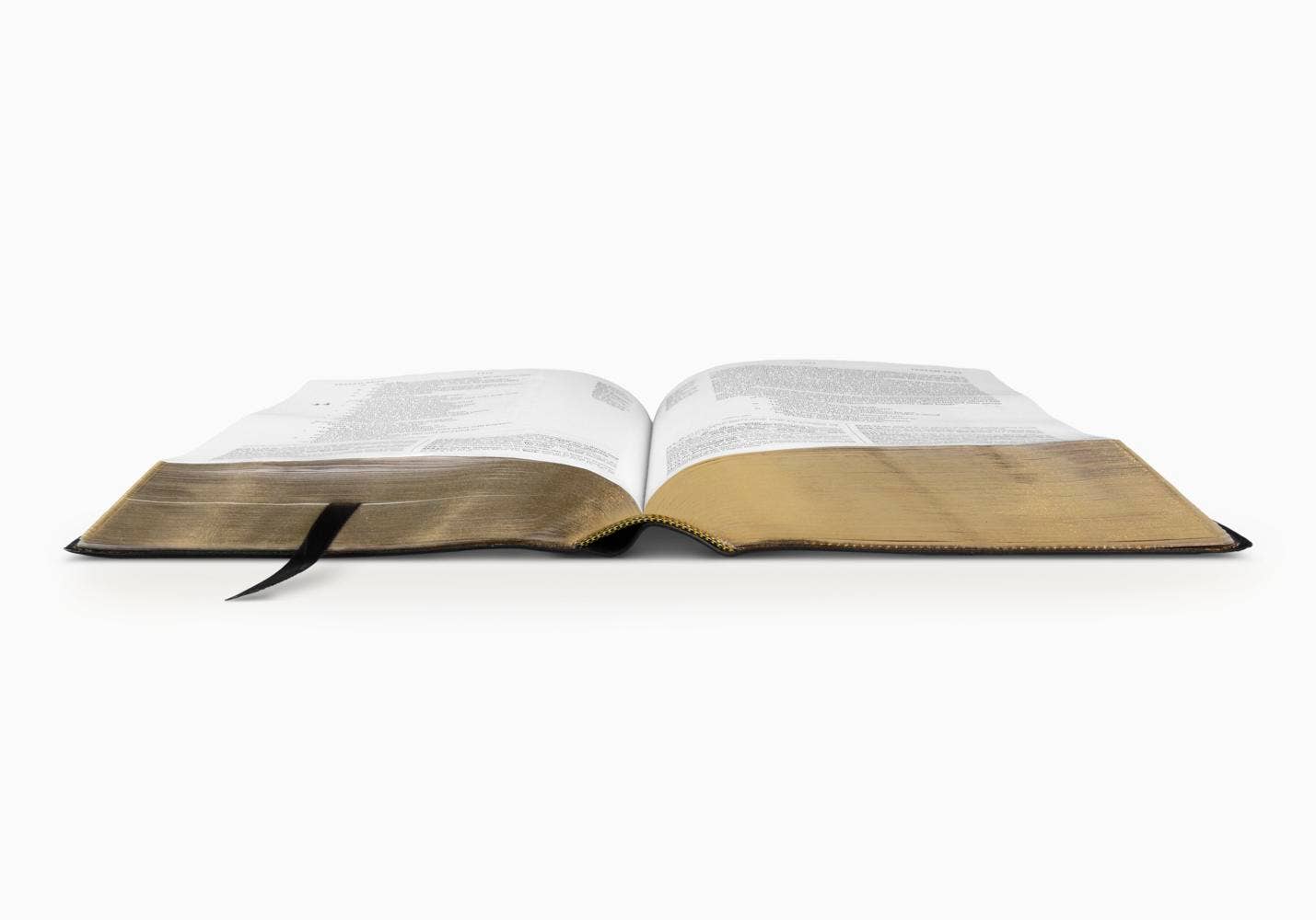 ESV Study Bible by Crossway (Buffalo Leather, Deep Brown)