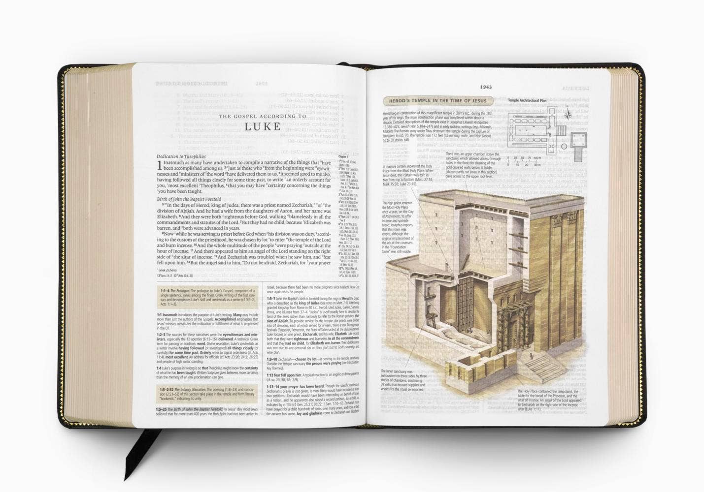 ESV Study Bible by Crossway (Buffalo Leather, Deep Brown)